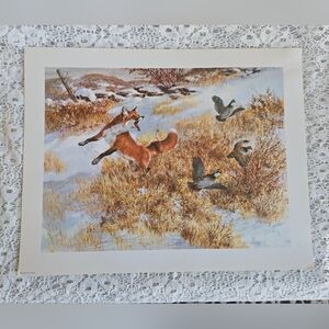 Vintage Beechum Wildlife Lithograph Print – Fox & Birds 11x14